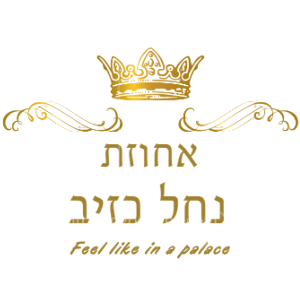 ahuzaweb