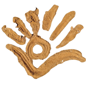 sivansitei