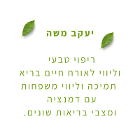 ysheweb