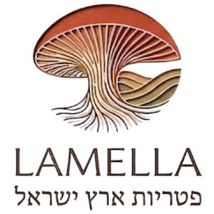 lamellamush