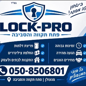 locks
