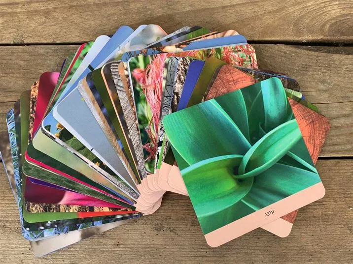 מינשי - קלפי מיניות נשית טבעית