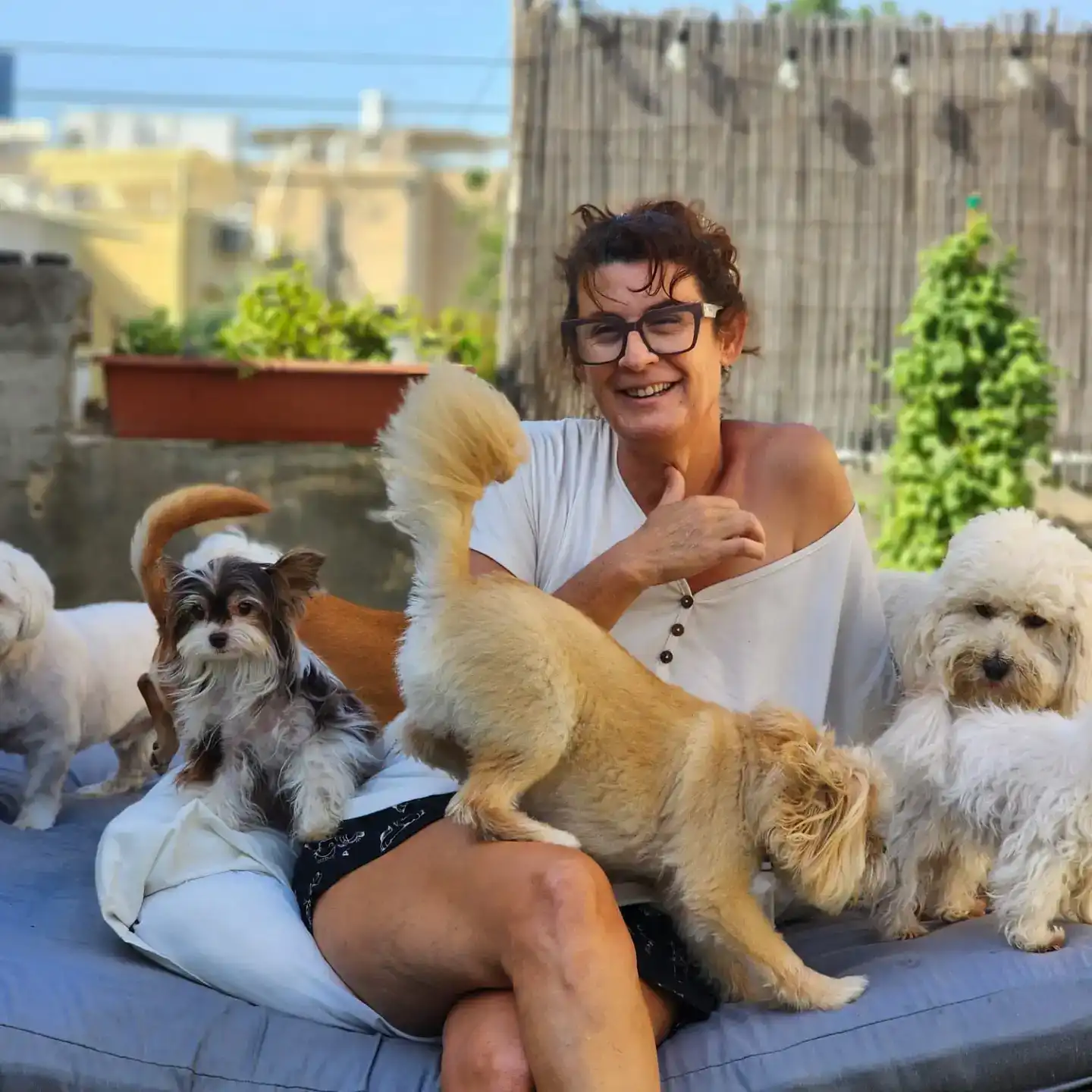 פנסיון ביתי לכלבים קטנים בתל אביב – טיפול מסור בשקט ובאהבה