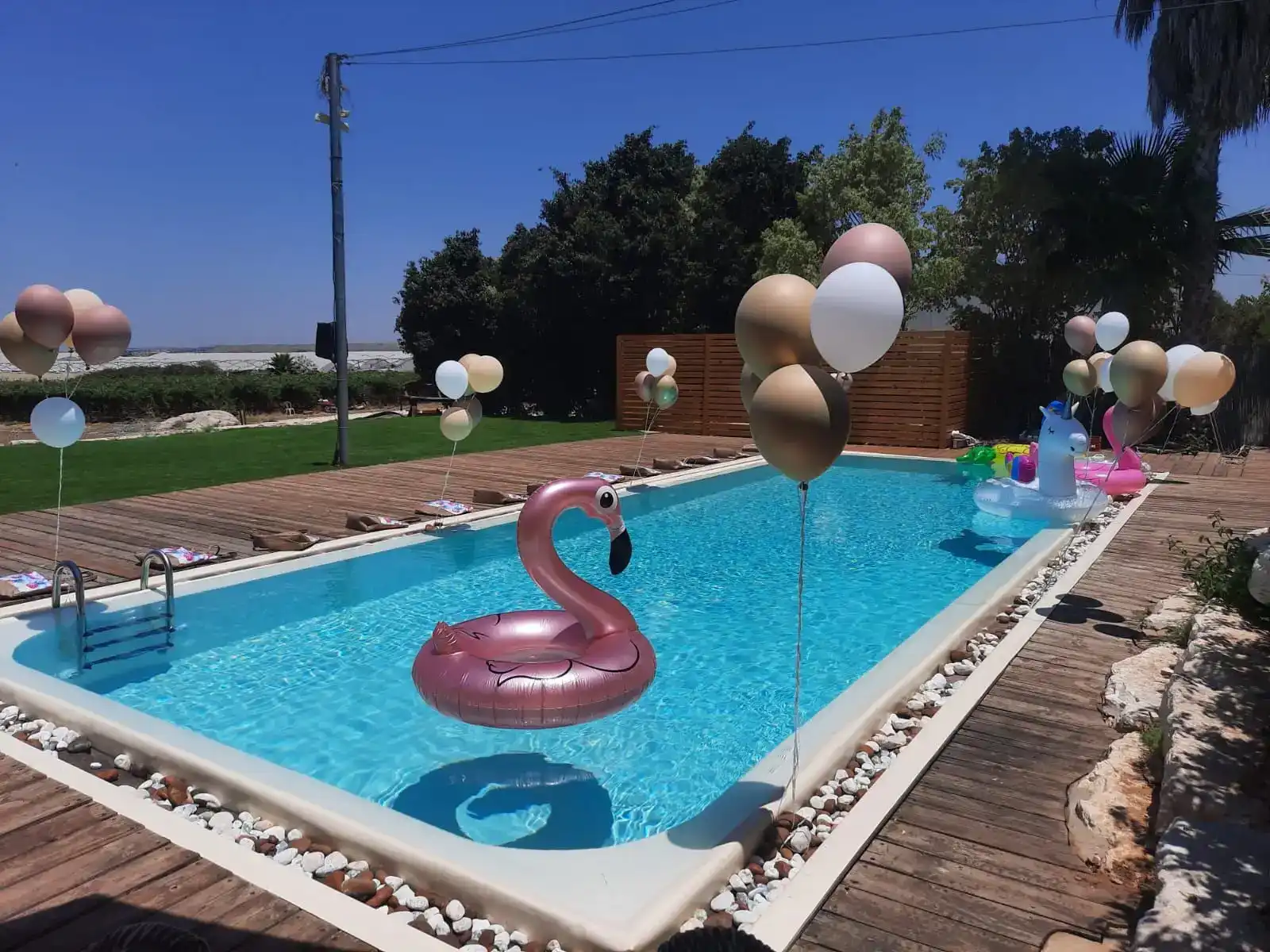 המקום המושלם לחגוג