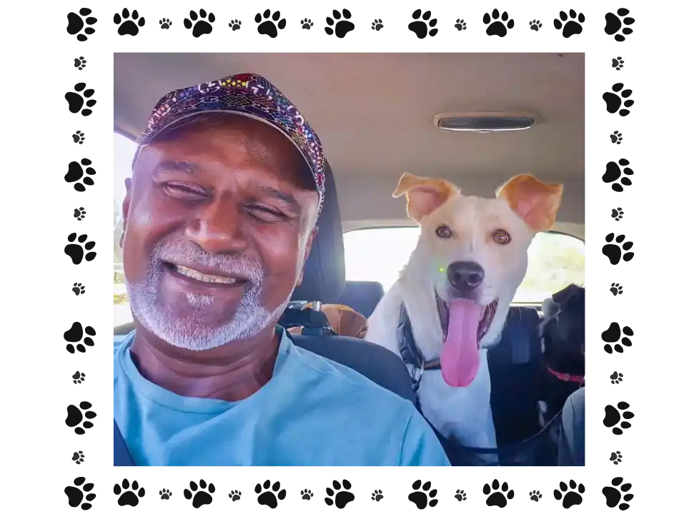 קצת עליי || אירוח כלבבי.פנסיון ביתי