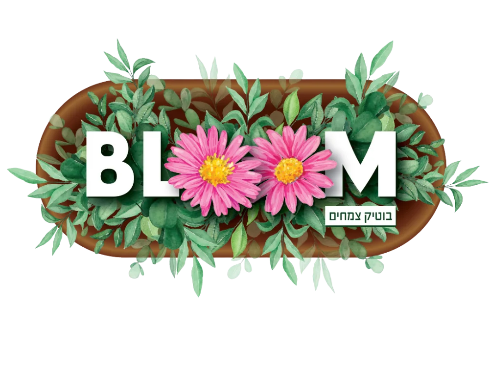 החזון שלנו || Bloom