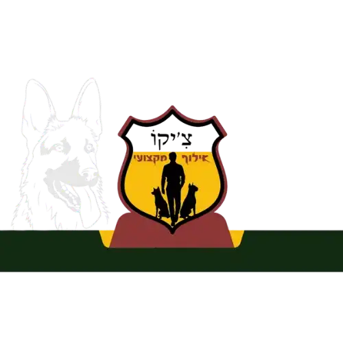 קצת עליי || צ׳יקו אילוף כלבים