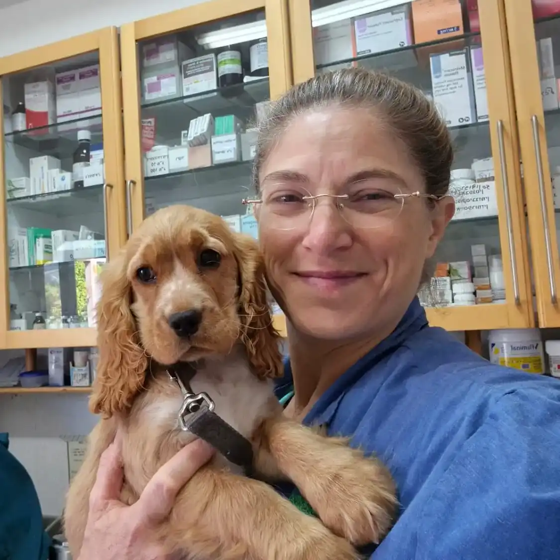 קצת עליי || קליניקט – הבית שלך לחיית המחמד
