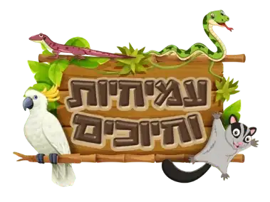 קצת עלינו || עמיחיות וחיוכים