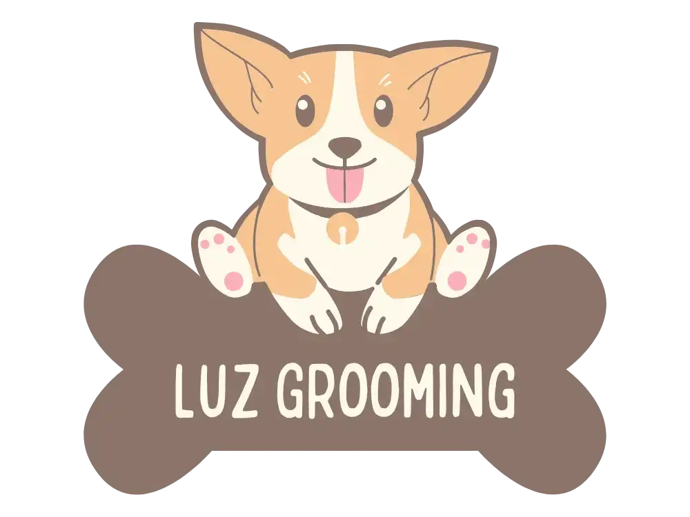קצת עליי || Luz Grooming