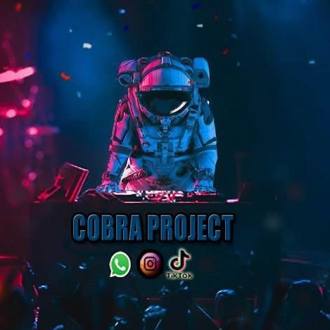 קצת עלינו || Cobra Project