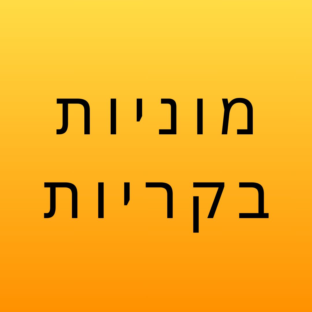 החזון שלנו || שירות מוניות קריות חיפה