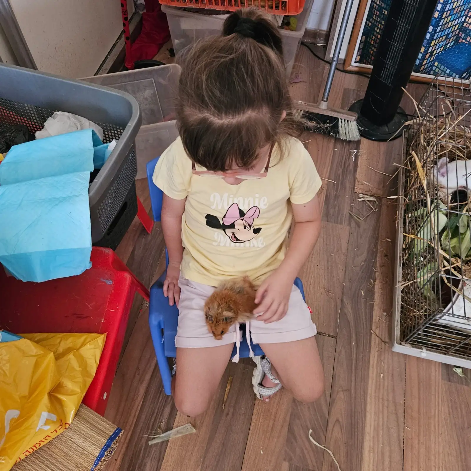 קצת עלינו || מרכז חיות ורגשות