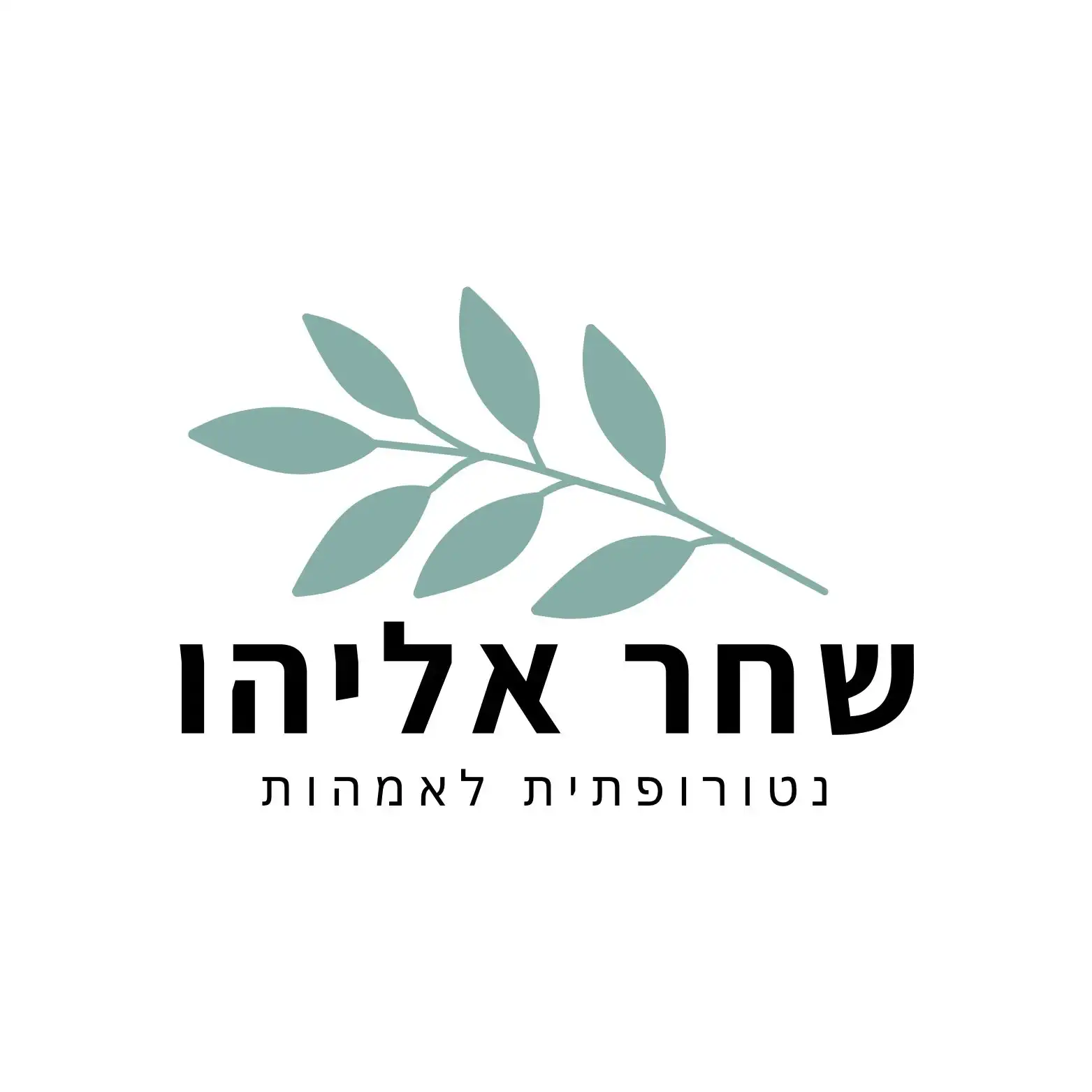 איך זה עובד?