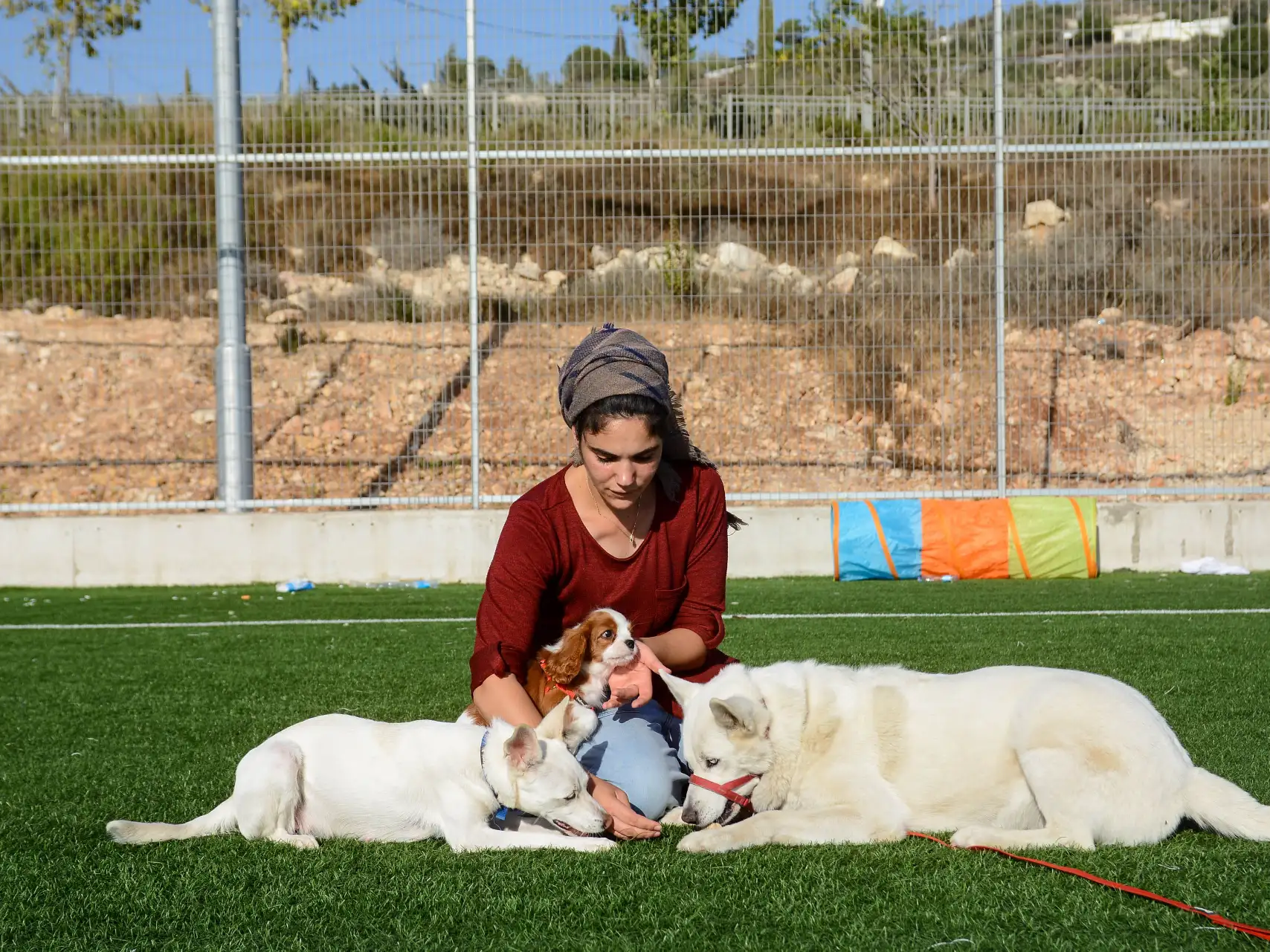 קצת עליי || חוי סימניאן - כלבנות טיפולית