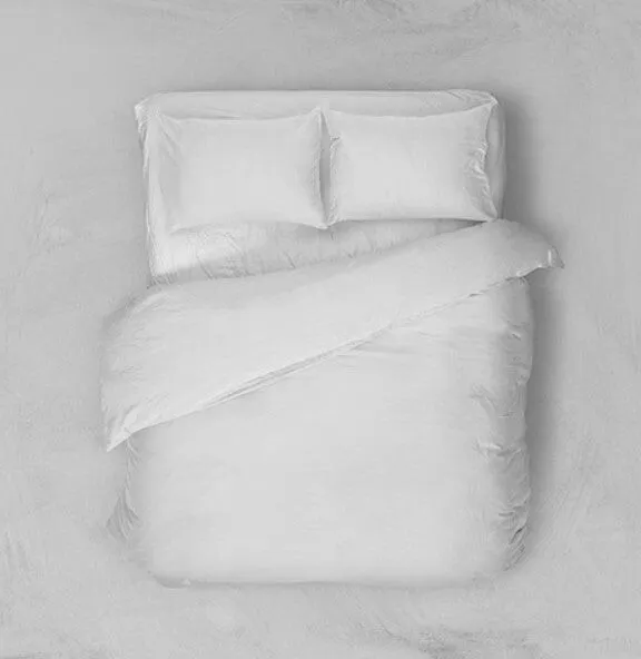 Hugin And Munin Ravens Comforter Duvet Cover 3PCS Bedding Set Duvet Cover And Pillow Cases Gift For Fan 100 Polyester BS1637