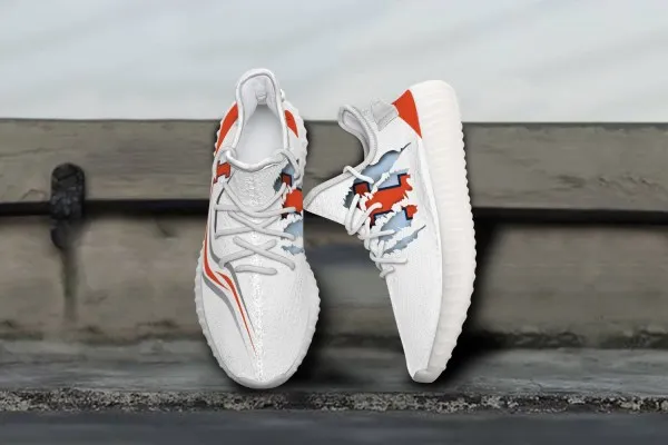 NCAA Illinois Fighting Illini Yeezy Boost Shoes For Men And Women 141YE-6165