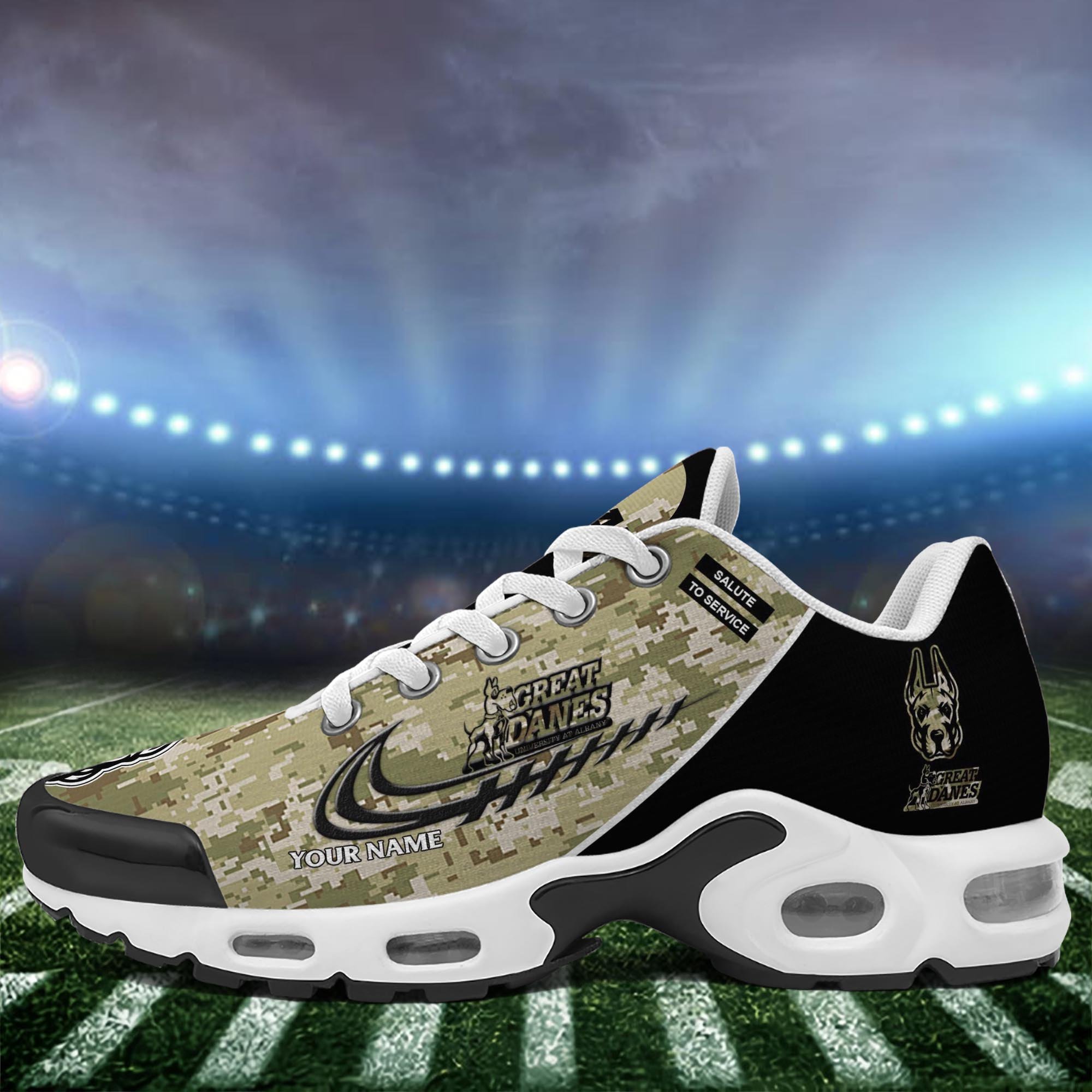 Albany Great Danes TN Shoes 2025 Version Custom Name, Camouflage Shoes, Gifts For Football Lovers ETRG-61636 Gallery Image