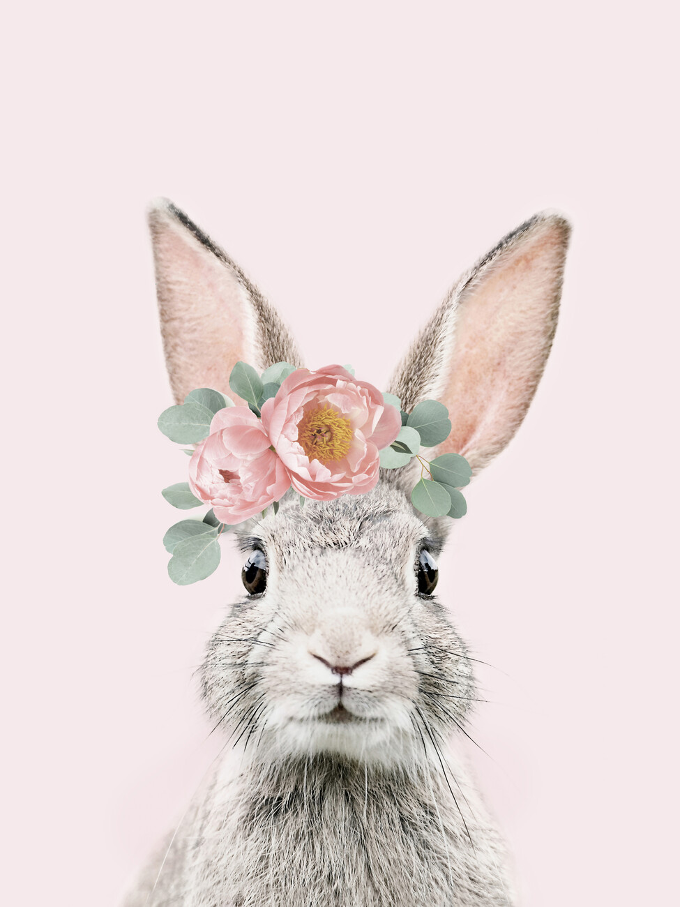 Lámina Flower crown bunny pink
