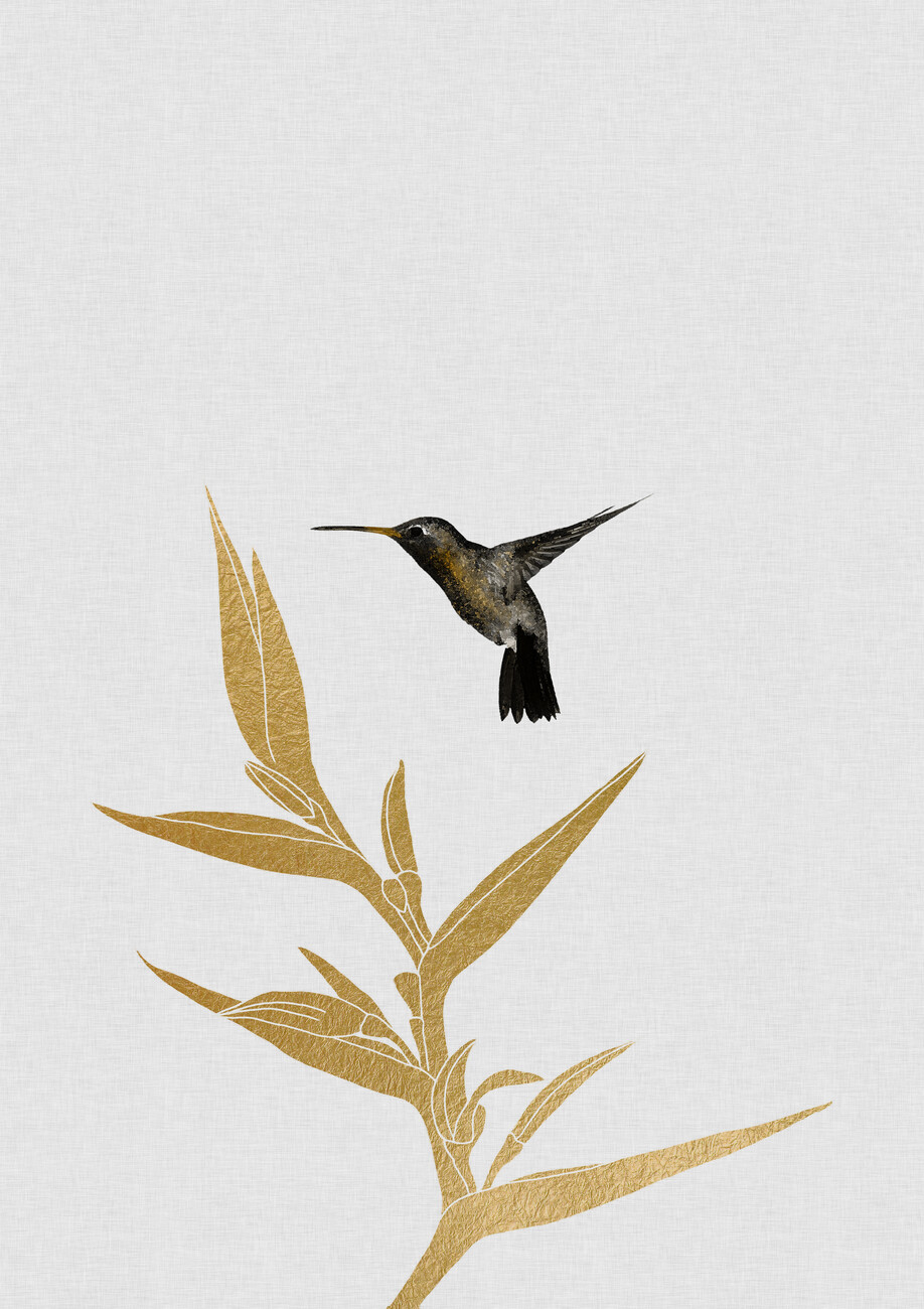 Illusztráció Hummingbird & Flower II