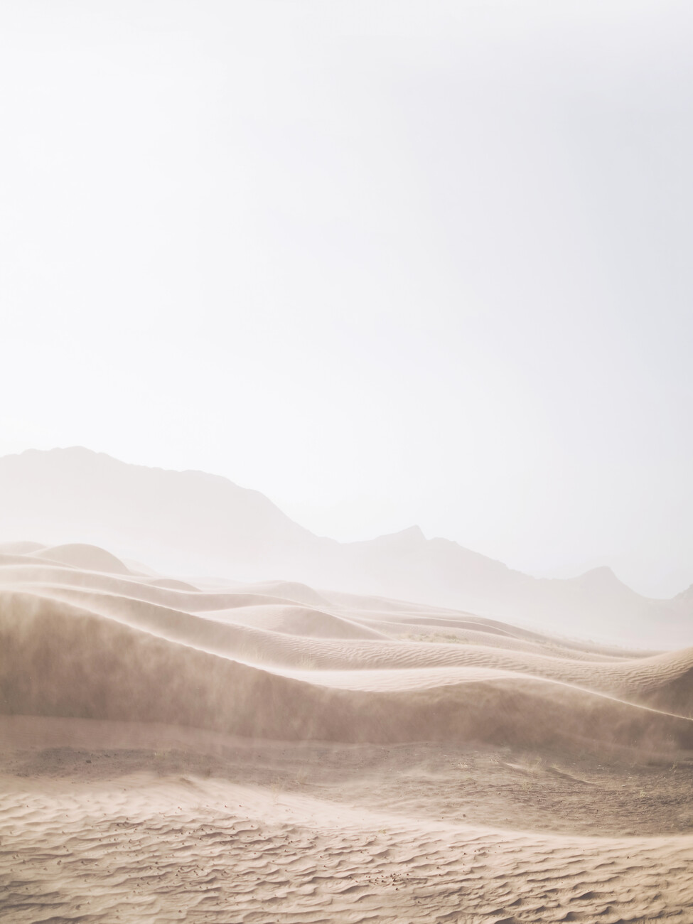 Fotografia artistica Windy Desert