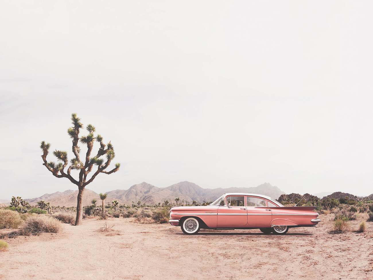 Fotografie In the desert, Sisi & Seb, (40 x 30 cm)