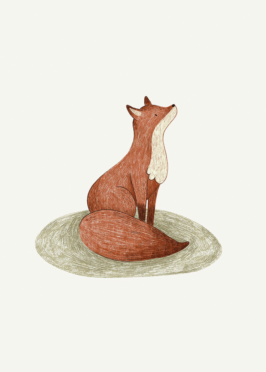 vintage fox illustration tumblr