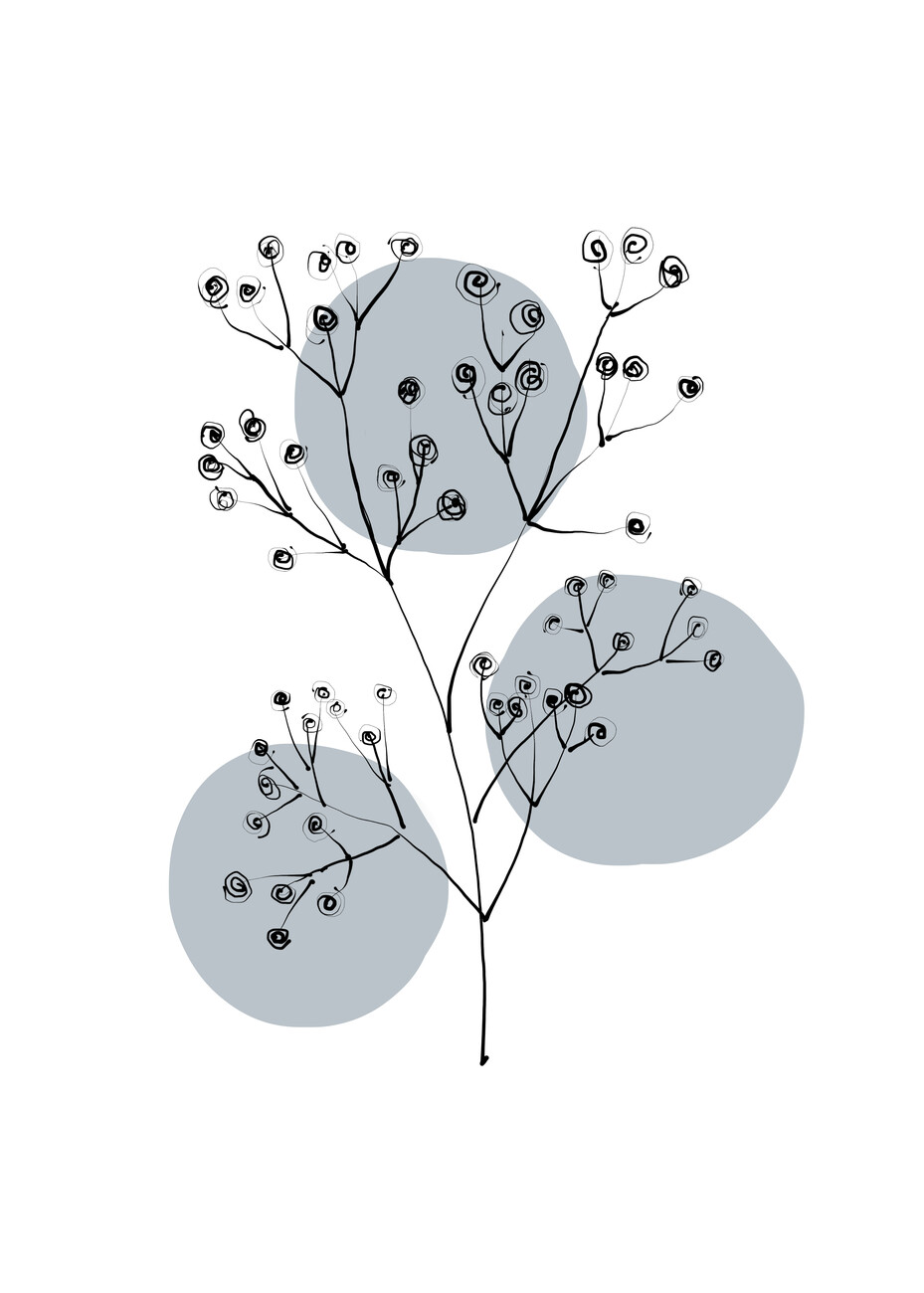 Ilustrace Delicate Botanicals - Gypsophila
