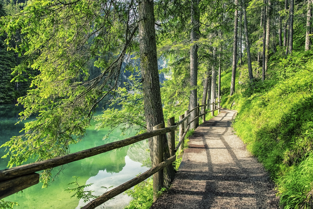 Stampa su tela - Passerella nel mare