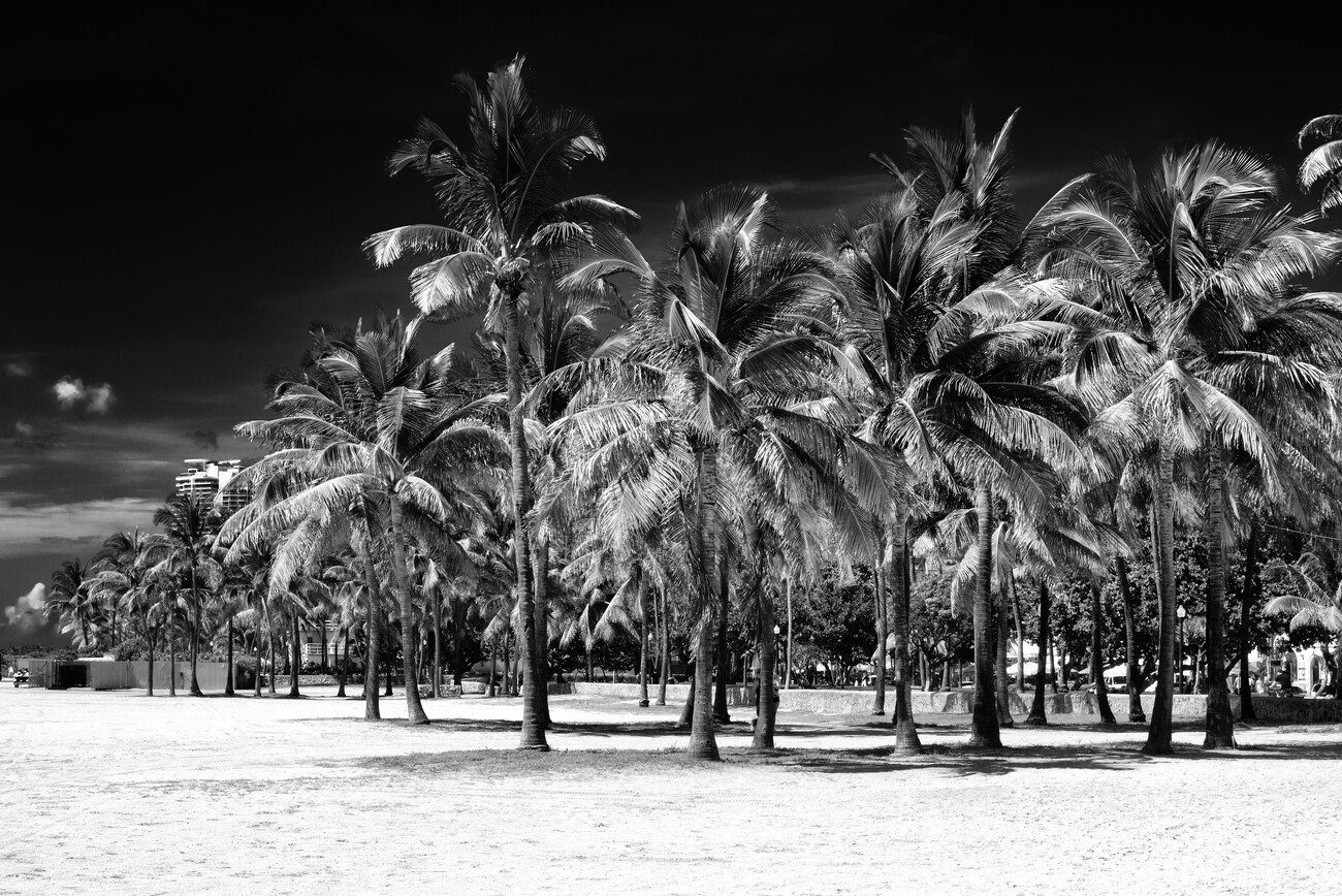 black and white beach at night photography