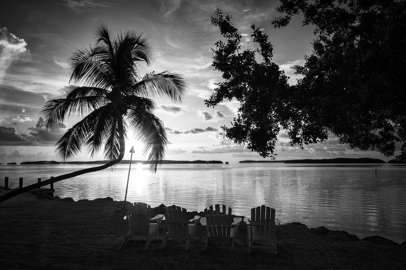 black and white beach sunset drawings