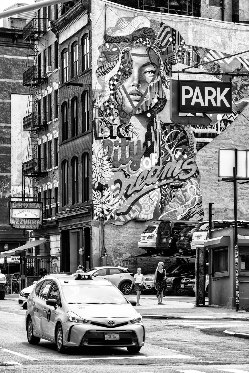  Black and White New York City Photography Print, Park