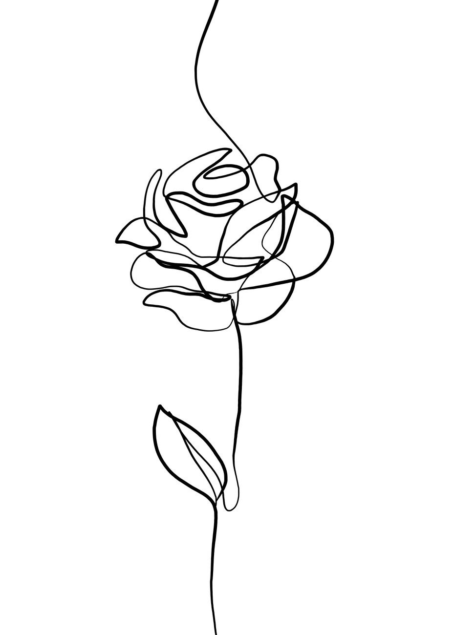 Continuous Line Drawing Of A Rose, Rose Drawing, Wing Drawing, Rose Sketch  PNG and Vector with Transparent Background for Free Download