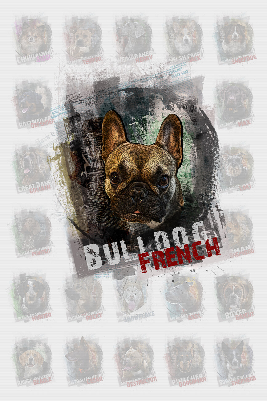 Ilustrace French Bulldog portrait