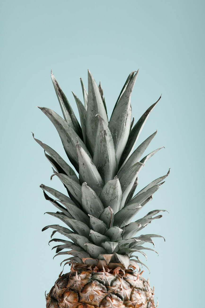 Ilustração artísticos, Pineapple in Blue