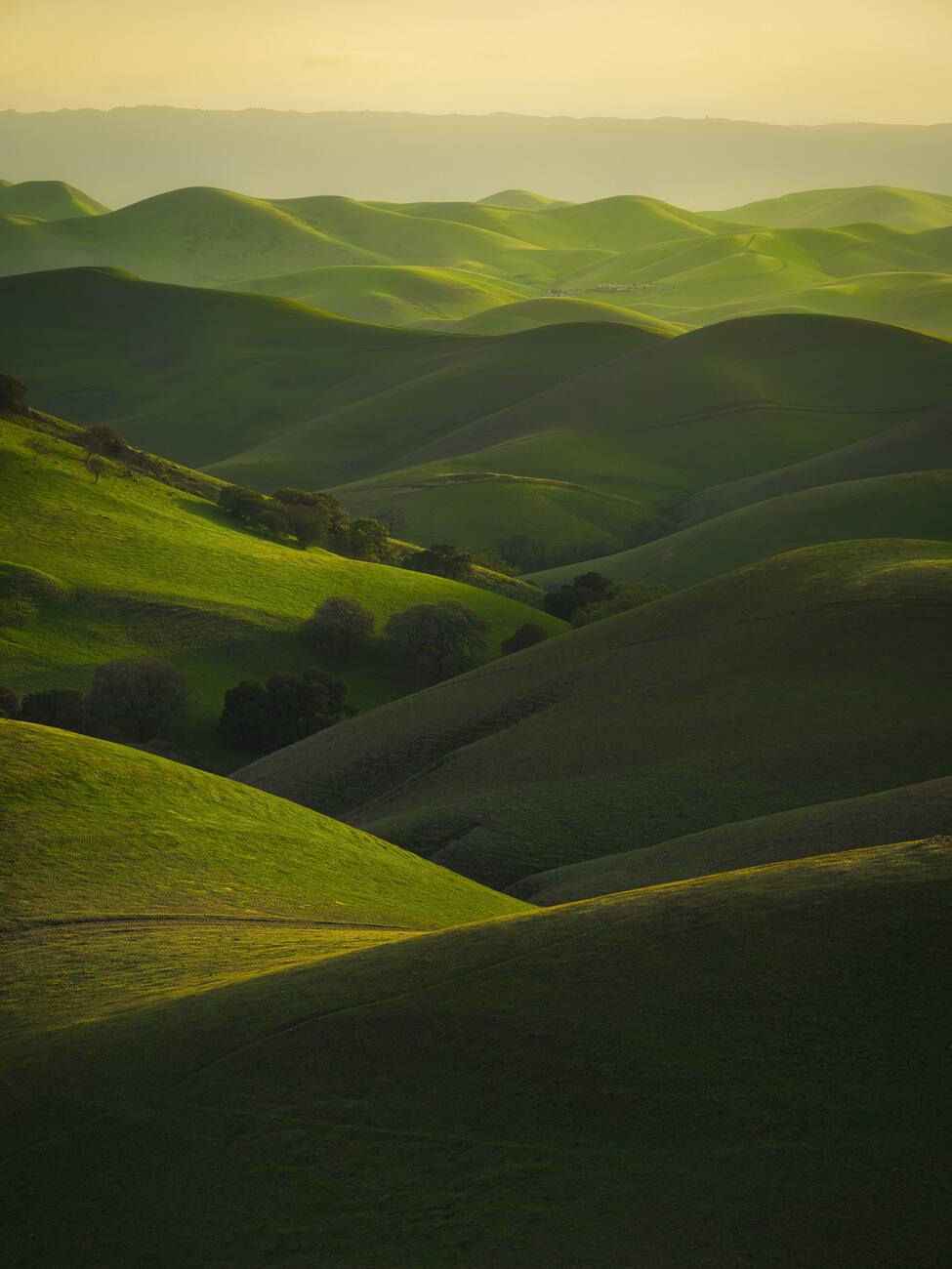 Art Photography Rolling Hills