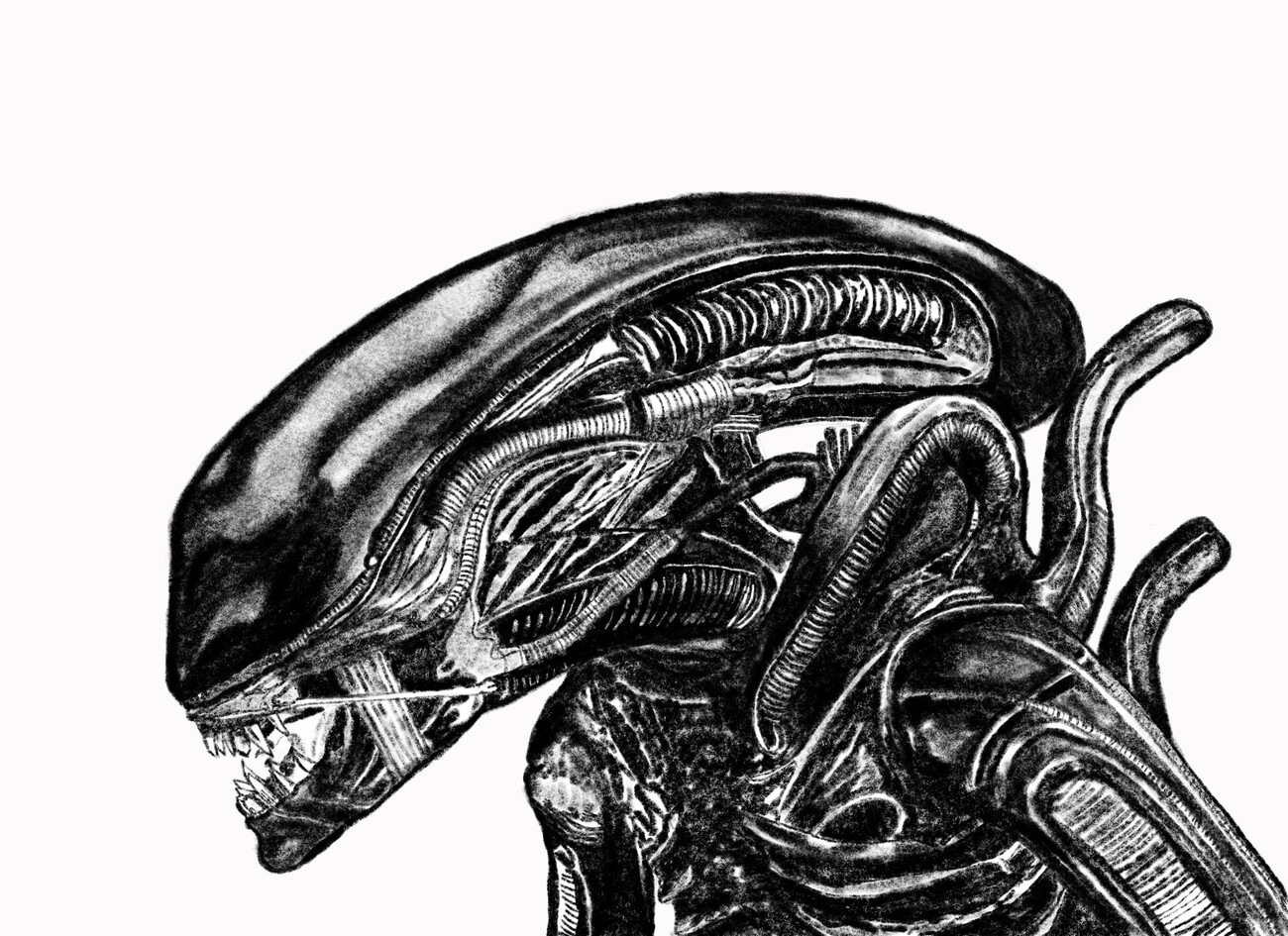 Desenho gráfico digital para colorir Alien Nightmare em preto e branco ·  Creative Fabrica