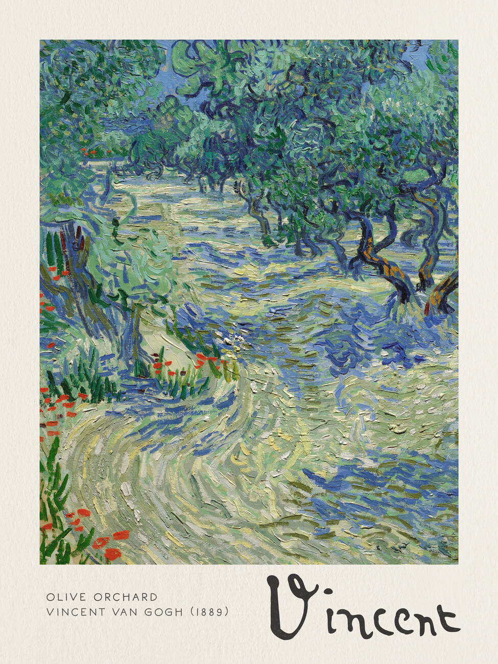 Kunsttryk Olive Orchard - Vincent van Gogh