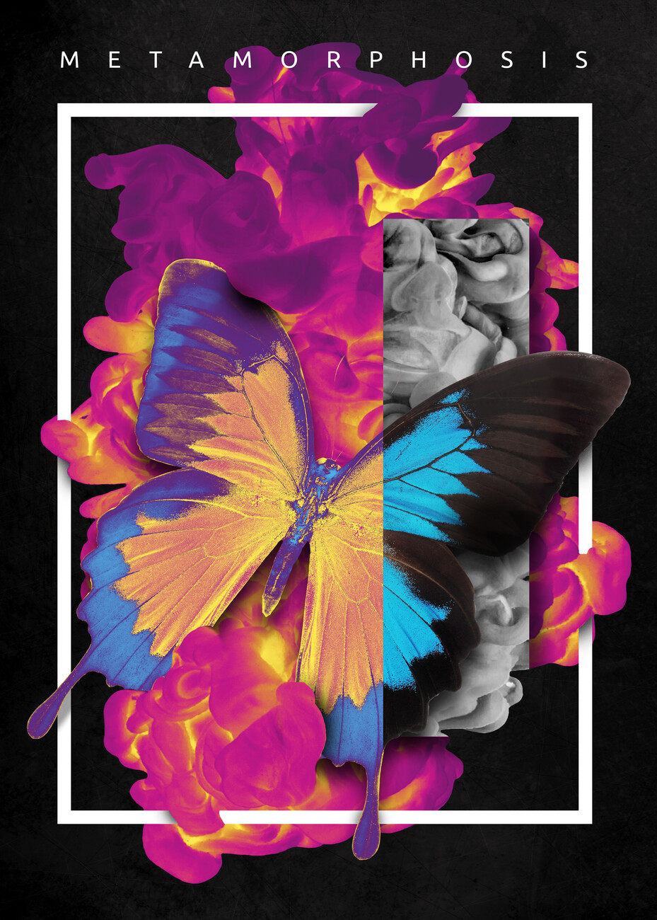 Wall Art Print Metamorphosis Butterfly, Gifts & Merchandise