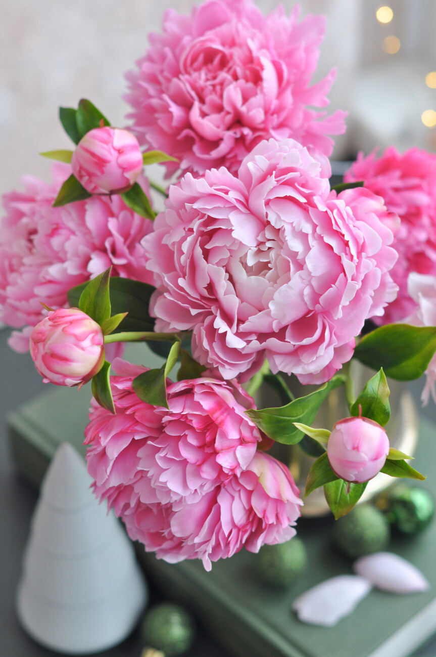 Art Photography Bouquet pink peony