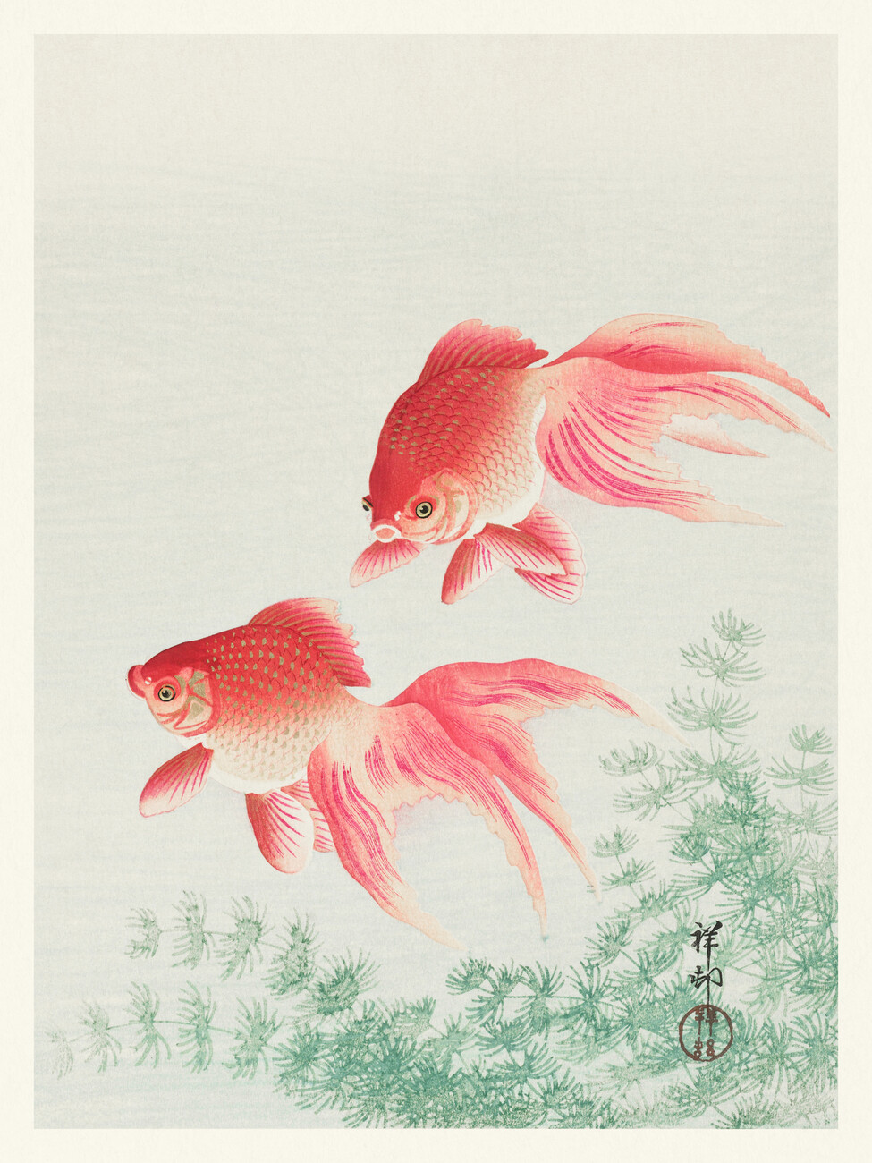 Obrazová reprodukce Two Veil Goldfish (Japandi Vintage) - Ohara Koson, (30 x 40 cm)