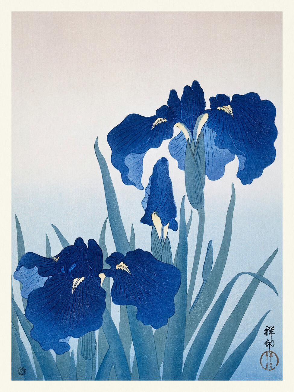 Blue Iris  Iris painting, Iris art, Flower art painting