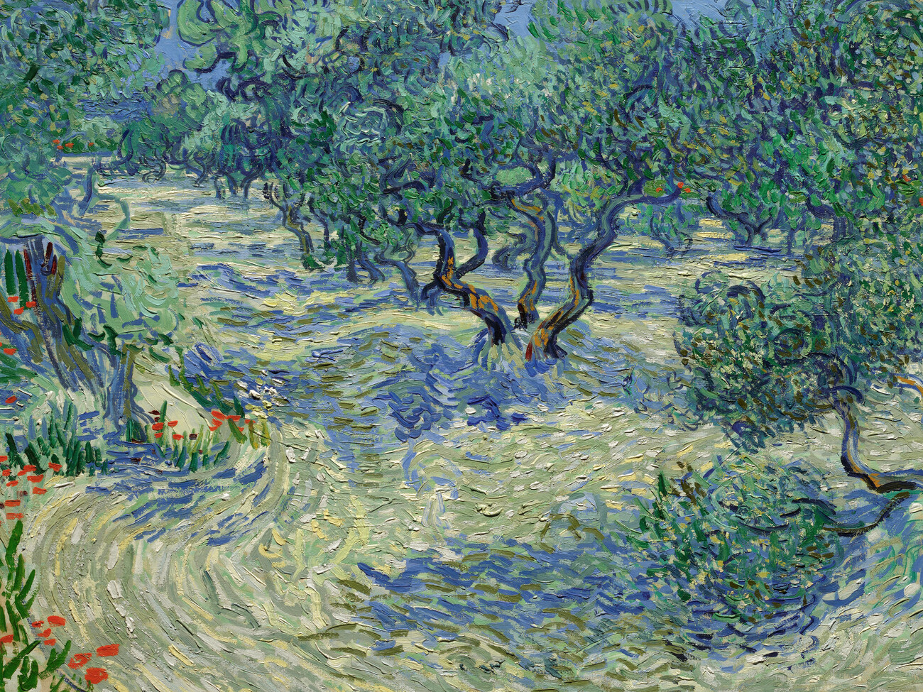 Sticker Olive Orchard - Vincent van Gogh