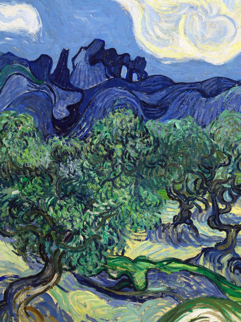 The Olive Trees (Portrait Edition) - Vincent van Gogh