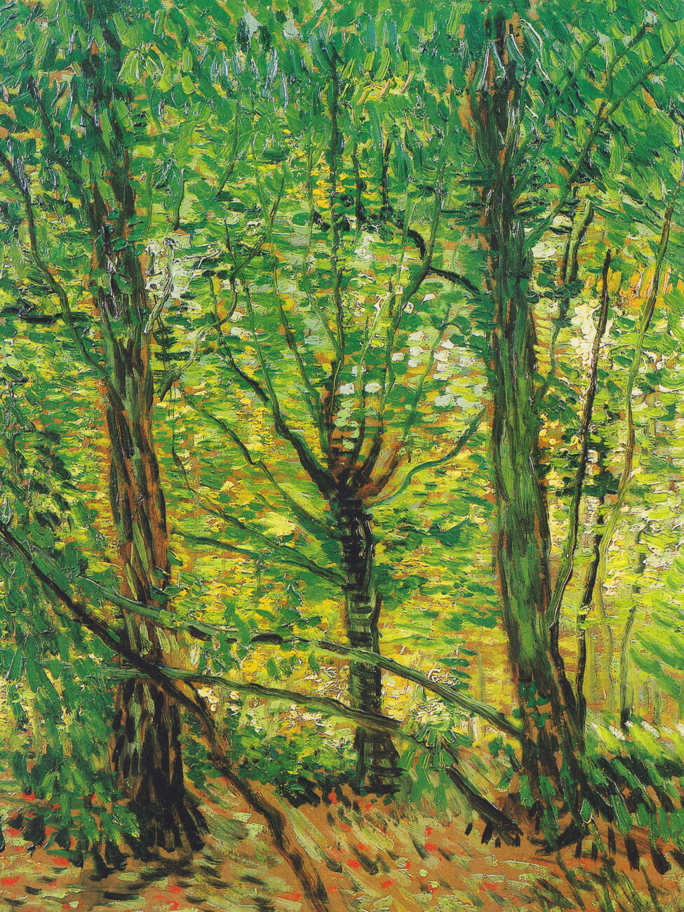 The World-Changing Trees of Vincent van Gogh