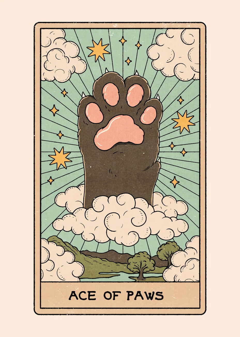 Cat hot sale paw tarot