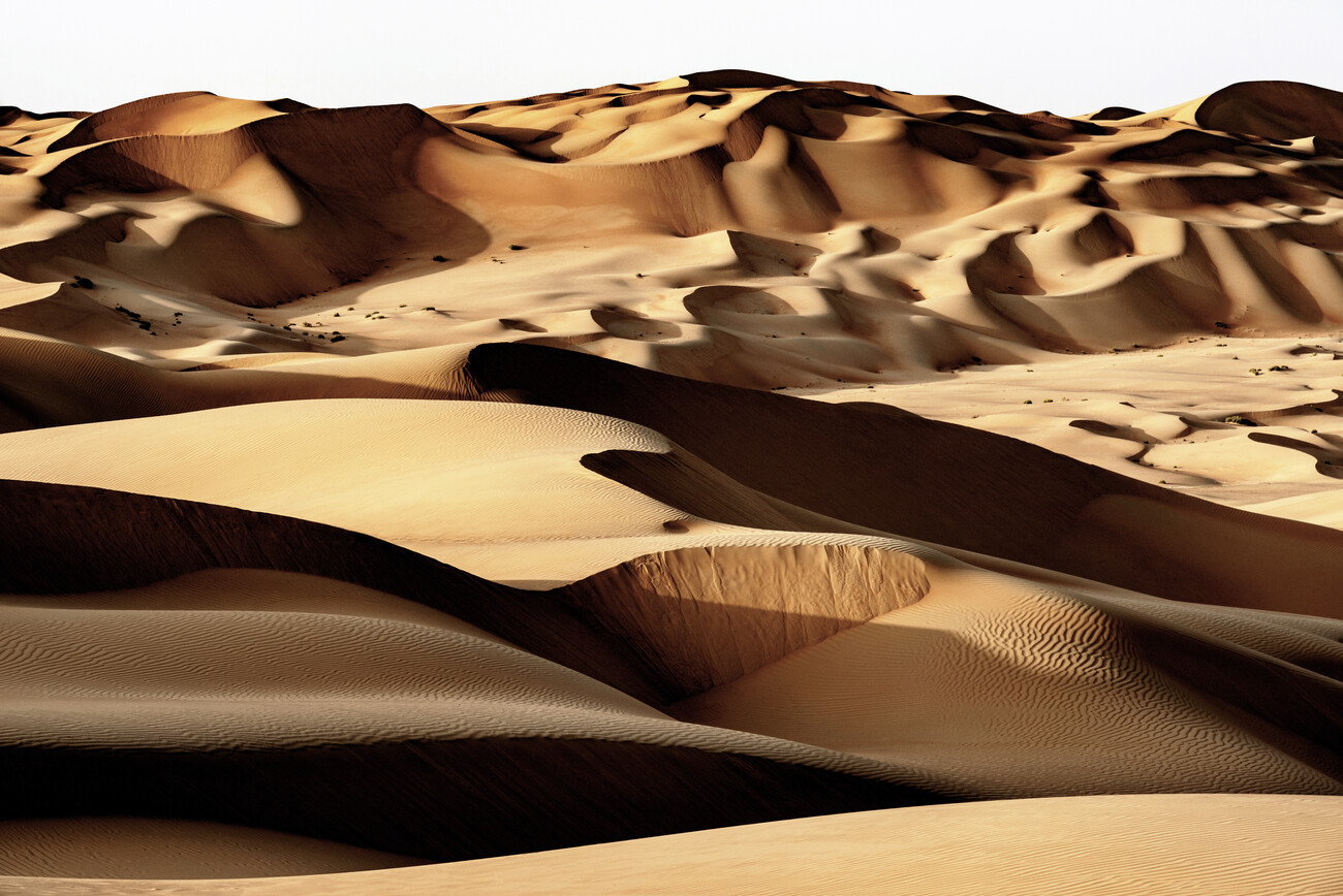 Canvas print Wild Sand Dunes - Desert