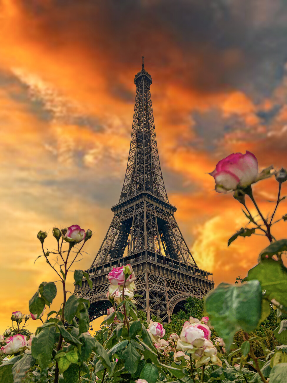 Paris Photo Wallpaper Wall Mural Eiffel Tower DECOR Giant Paper Poster  Picture