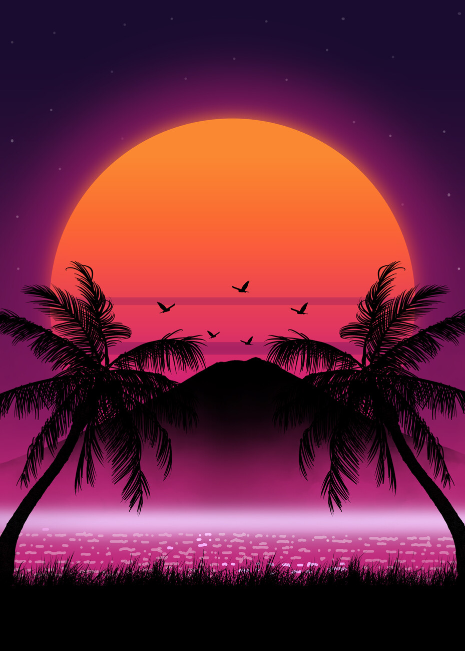 palm tree sunset