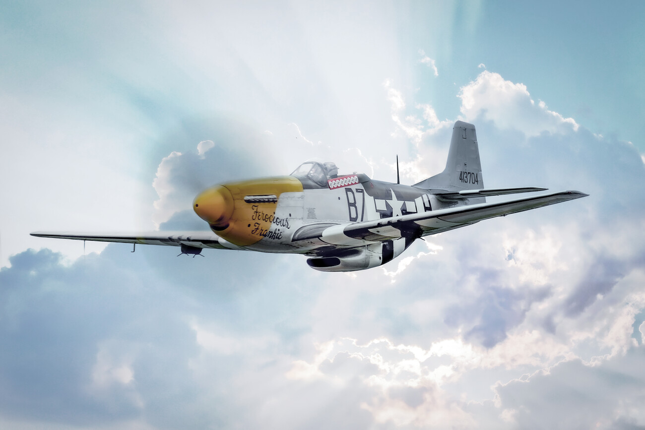 North American P-51 Mustang | Posters, Art Prints, Wall Murals | +250